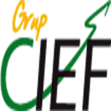 Formación Certificado de Profesionalidad Creación y Publicación de páginas Web. CIEF.